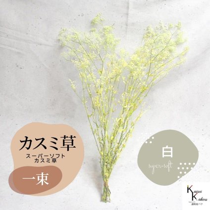 宅急便で発送 「大地農園 スーパーソフトミニカスミ草・フレア 白 1束 」 ドライフラワー 花材 ハーバリウム 素材 小さいお花 アレンジメント ギフト 母の日 お誕生日 オオチノウエン プリザーブドフラワー プリザーブド プリザ かすみそう カスミ ハンドメイド