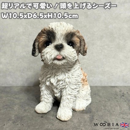 置物 woobia ウービア 頭を上げるシーズー リアル動物オーナメント 高さ10.5cm 本物そっくり イギリス職人手彩色 犬 いぬ 子犬 縁起物 安産 玄関 インテリア ガーデン かわいい おしゃれ 誕生日 記念日 新築祝い 引っ越し祝い 出産祝い 犬好き お礼 プチギフト ギフト プレゼント