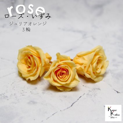 大地農園！プリザーブドフラワー 「ローズいずみ 3輪 ジュリアオレンジ」プリザ 花材 ハーバリウム おしゃれ かわいい プレゼント 贈り物　オオチノウエン バラ 薔薇 ローズ rose