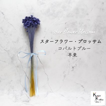 大地農園　「スターフラワー ブロッサム コバルトブルー 半束」  小花 ドライフラワー ハーバリウム アロマワックスバー サシェ キャンドル 花材