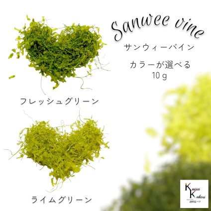 大地農園！プリザーブドフラワー 「サンウィーバイン カラーが選べる 10g」プリザ 花材 ハーバリウム おしゃれ かわいい プレゼント 贈り物　オオチノウエン sanweevine サンウィーバイン