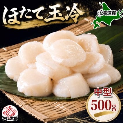 中型　冷凍ホタテ貝柱玉冷　Mサイズで500ｇ（13～15玉入り・刺身用）　海鮮ほたてお取り寄せ