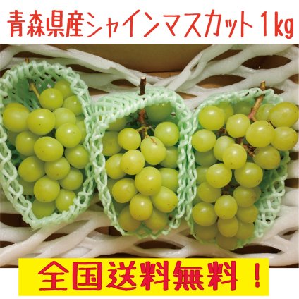 青森県産　シャインマスカット　訳あり　2-4房　１ｋｇ　送料無料！