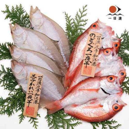 島根 岡富商店 一日漁 のどぐろ アカムツ かれい エテカレイ 一夜干し 高級干物セット 冷凍 お取り寄せグルメ ギフト 贈答品 絶品