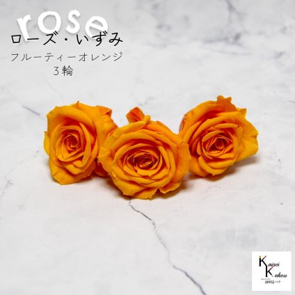大地農園！プリザーブドフラワー 「ローズいずみ 3輪 フルーティーオレンジ」プリザ 花材 ハーバリウム おしゃれ かわいい プレゼント 贈り物　オオチノウエン バラ 薔薇 ローズ rose