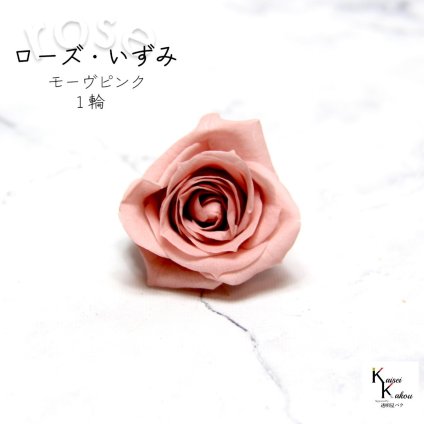 大地農園！プリザーブドフラワー 「ローズいずみ 1輪 モーヴピンク」プリザ 花材 ハーバリウム おしゃれ かわいい プレゼント 贈り物　オオチノウエン バラ 薔薇 ローズ rose