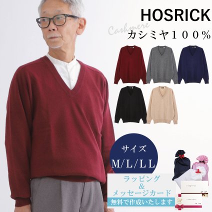 【カシミヤ１００％試験鑑定済】カシミヤ１００％メンズＶ首セーター 【ラッピング無料】【メッセージカード無料】父の日 敬老の日 クリスマス 還暦祝い 百貨店 高級 誕生日 記念日 ブランド メンズ 30代 40代 50代 60代 70代 80代 90代