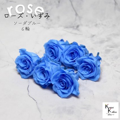 大地農園！プリザーブドフラワー 「ローズいずみ 6輪 ソーダブルー」プリザ 花材 ハーバリウム おしゃれ かわいい プレゼント 贈り物　オオチノウエン バラ 薔薇 ローズ rose