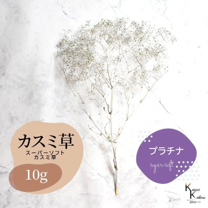 「大地農園 スーパーソフトミニカスミ草 プラチナ 10g 」 ドライフラワー 花材 ハーバリウム 素材 小さいお花 アレンジメント ギフト 母の日 お誕生日 オオチノウエン プリザーブドフラワー プリザーブド プリザ かすみそう カスミ ハンドメイド