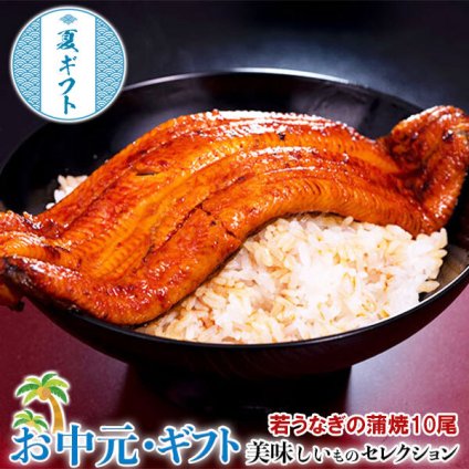  お中元 若 うなぎ の 蒲焼 鹿児島県産 築地魚力 約120g×10尾 (10～20人前) タレ・山椒付き ※冷凍｜ お取り寄せ グルメ 贈物 御中元 N02-045142