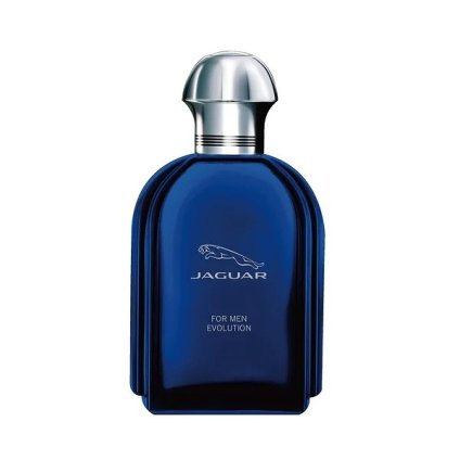 ジャガー フォーメン エボリューション オードトワレ  100ml  |  激安  Jaguar  香水（メンズ） 美容グッズ コスメ化粧品 誕生日 クリスマス ホワイトデー 結婚記念日 ウエディングギフト 母の日 送別会 バレンタインデー 女性 彼女 妻奥さん 母お母さん 女友達