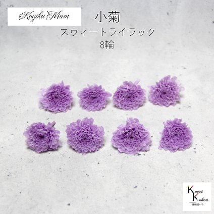 大地農園「小菊 スウィートライラック 8輪」プリザーブドフラワー　プリザ　ハーバリウム　小花 ドライフラワー ハーバリウム アロマワックスバー