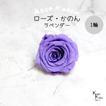 大地農園！プリザーブドフラワー 「ローズかのんL ラベンダー 1輪」プリザ 花材 ハーバリウム おしゃれ かわいい プレゼント 贈り物　オオチノウエン