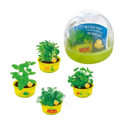 【単品販売】育てるカプセル ゆ桶でハーブ栽培 ハーブ栽培セット　育てるギフト  植物 プチギフト　家庭菜園 日本製 初心者　カモミール ペパーミント  レモンバーム アップルミント 粗品　ノベルティ ガーデニング 癒グッズ コンパクトキット