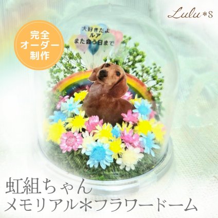 【完全オーダーメイド】 虹組ちゃん メモリアル フラワードーム 写真 名入れ メッセージ ペット 供養 お供え お悔やみ 遺影 手元供養 虹の橋 犬 猫 うさぎ 小動物 ドライフラワー アクリル 仏花 命日 ギフト プレゼント ルルズ Lulu＊s 2905