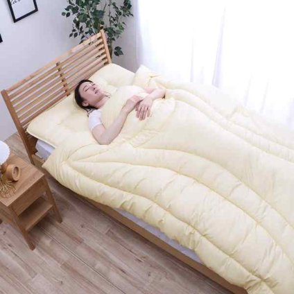 寝具 清潔 快適 掛け布団 ダニ増殖抑制 日本製 無地 シンプル シングルロング 約150×210cm