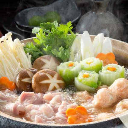 土佐はちきん地鶏 高知県産 地鶏 鶏肉 もも肉 むね肉 600g 水炊き 鍋セット 高級 お取り寄せ グルメ ギフト 贈り物 お歳暮 御歳暮 プレゼント 内祝い 鍋 しゃも コーチン 冷凍