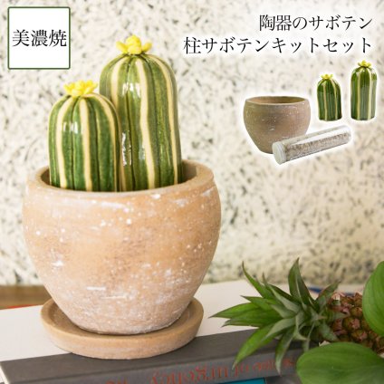 SERA　SABO 陶器のサボテン 桂サボテン 黄色 小・大 キットセット （鉢・ストーン付） ( 即日発送 フェイクグリーン インテリア 多肉植物 陶器の植物 ギフト 美濃焼 結婚 出産 内祝い 引き出物 金婚式 誕生日プレゼント 還暦祝い 古希 喜寿 米寿 退職 定年 ) 