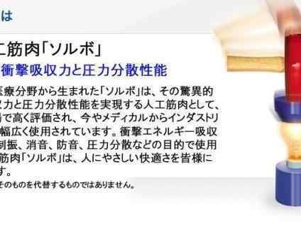 ソルボライト 人工筋肉 インソール 2L 衝撃吸収 高機能 スポーツ アスリート ランニング ウォーキング ジョギング 足裏 疲労軽減 負担緩和 クッション プロ仕様 快適 サポート 医療発 61464