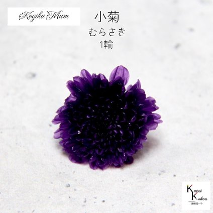 大地農園「小菊 むらさき 1輪」プリザーブドフラワー　プリザ　ハーバリウム　小花 ドライフラワー ハーバリウム アロマワックスバー