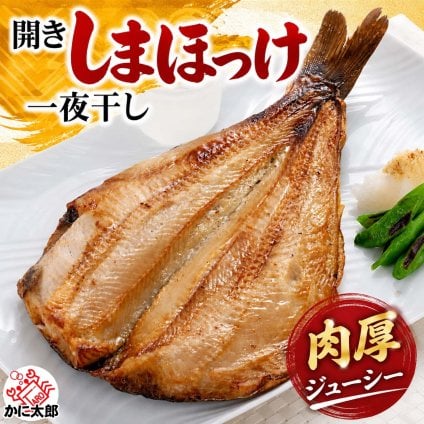 肉厚　シマホッケ 一夜干し開き　1枚(トロホッケ 干し魚)　ジュッと縞ほっけの脂の焼ける音が食欲をそそります 肉厚な しまほっけ なので食べ応えありますよ 縞ホッケ 干物 通販
