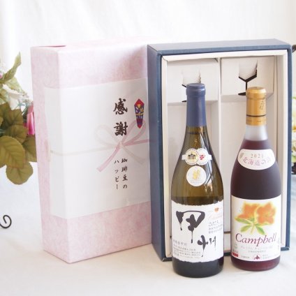 感謝の贈り物ボックス 山梨県甲州種ぶどう100%使用白ワインと国産ワインセット(北海道の詩 プレミアムキャンベル赤ワイン 甘口(北海道)720mlシャンモリ柑橘香御坂甲州白ワイン(山梨県)750ml