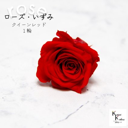 大地農園！プリザーブドフラワー 「ローズいずみ 1輪 クイーンレッド」プリザ 花材 ハーバリウム おしゃれ かわいい プレゼント 贈り物　オオチノウエン バラ 薔薇 ローズ rose