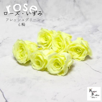 大地農園！プリザーブドフラワー 「ローズいずみ 6輪 フレッシュグリーン」プリザ 花材 ハーバリウム おしゃれ かわいい プレゼント 贈り物　オオチノウエン バラ 薔薇 ローズ rose