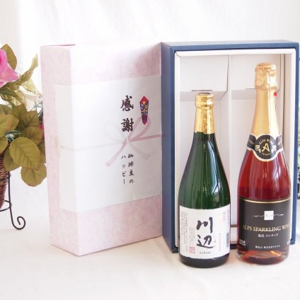 感謝の贈り物ボックス フルーティーな香り球磨焼酎と国産ワインセット(酸化防止剤無添加 信州コンコード赤ワイン 中口(長野県)720ml純米焼酎川辺(熊本県)720ml