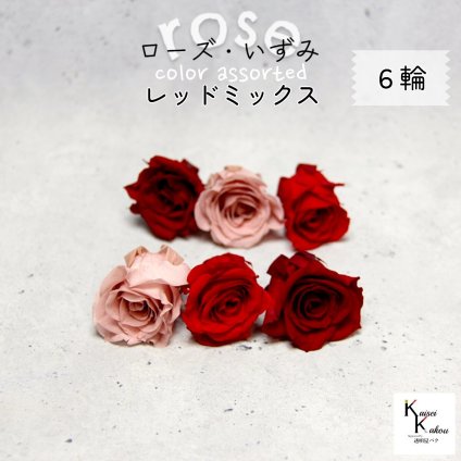 大地農園！プリザーブドフラワー 「ローズいずみ カラーアソート レッドミックス 2輪ずつ6輪」 「ワインレッド クイーンレッド モーヴピンク 2輪ずつ6輪」 プリザ 花材 ハーバリウム オオチノウエン バラ 薔薇 ローズ rose