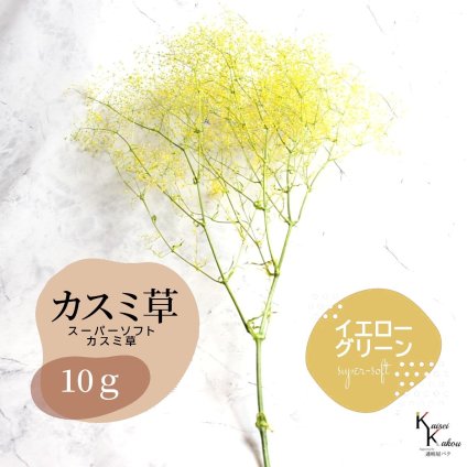 「大地農園 スーパーソフトミニカスミ草・フレア イエロー/グリーン 10g」 ドライフラワー 花材 ハーバリウム 素材 小さいお花 アレンジメント ギフト 母の日 お誕生日 オオチノウエン プリザーブドフラワー プリザーブド プリザ かすみそう カスミ ハンドメイド