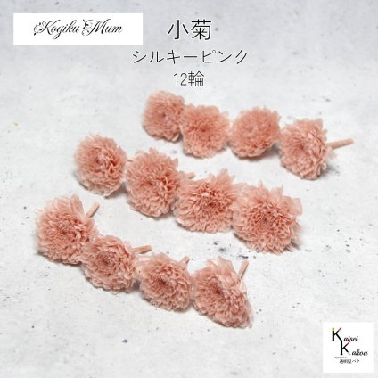 大地農園「小菊 シルキーピンク 12輪」プリザーブドフラワー　プリザ　ハーバリウム　小花 ドライフラワー ハーバリウム アロマワックスバー