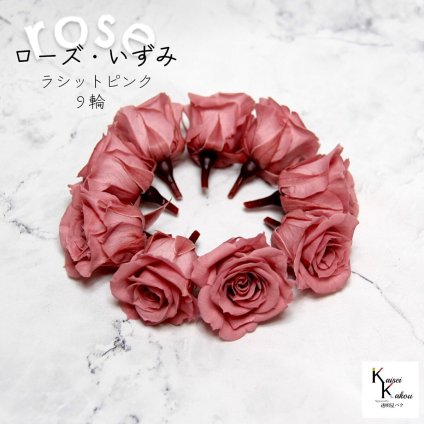 大地農園！プリザーブドフラワー 「ローズいずみ 9輪 ラシットピンク」プリザ 花材 ハーバリウム おしゃれ かわいい プレゼント 贈り物　オオチノウエン バラ 薔薇 ローズ rose