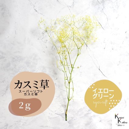 「大地農園 スーパーソフトミニカスミ草・フレア イエロー/グリーン 2g」 ドライフラワー 花材 ハーバリウム 素材 小さいお花 アレンジメント ギフト 母の日 お誕生日 オオチノウエン プリザーブドフラワー プリザーブド プリザ かすみそう カスミ ハンドメイド