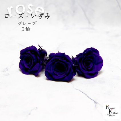 大地農園！プリザーブドフラワー 「ローズいずみ 3輪 グレープ」プリザ 花材 ハーバリウム おしゃれ かわいい プレゼント 贈り物　オオチノウエン バラ 薔薇 ローズ rose