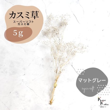 「大地農園 スーパーソフトミニカスミ草 マットグレー 5g 」 ドライフラワー 花材 ハーバリウム 素材 小さいお花 アレンジメント ギフト 母の日 お誕生日 オオチノウエン プリザーブドフラワー プリザーブド プリザ かすみそう カスミ ハンドメイド