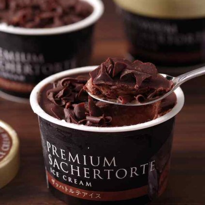 北海道 十勝ドルチェ ザッハトルテアイス 8個入 十勝橋本牧場 ブラウンスイス牛 生乳 濃厚 チョコレート アイスクリーム ジェラート 高級 スイーツ デザート 洋菓子 ギフト プレゼント 内祝い お歳暮 御歳暮
