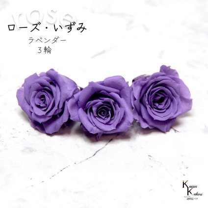 大地農園！プリザーブドフラワー 「ローズいずみ 3輪 ラベンダー」プリザ 花材 ハーバリウム おしゃれ かわいい プレゼント 贈り物　オオチノウエン バラ 薔薇 ローズ rose