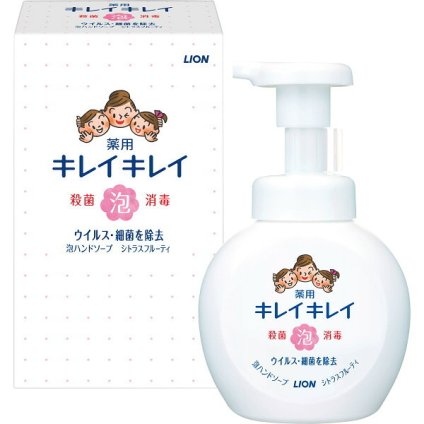 【直送】ライオン キレイキレイ [26-0494-047] 薬用泡ハンドソープ 箱入 250ml 本体 シトラスフルーティーの香り 殺菌 消毒 手洗い 泡立ていらず 抗菌ポンプヘッド 防災 ノベルティ 景品 粗品 プレゼント ギフト 贈り物