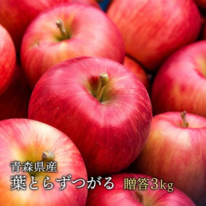 青森県産 葉とらずりんご つがる ご贈答用約3kg 最適 産地直送 同梱不可 りんご 林檎