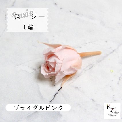 大地農園！プリザーブドフラワー 「スージー ブライダルピンク 1輪」プリザ 花材 ハーバリウム おしゃれ かわいい プレゼント 贈り物　オオチノウエン