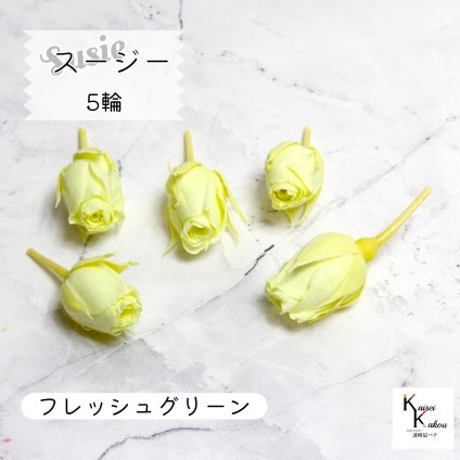 大地農園！プリザーブドフラワー 「スージー フレッシュグリーン 5輪」プリザ 花材 ハーバリウム おしゃれ かわいい プレゼント 贈り物　オオチノウエン