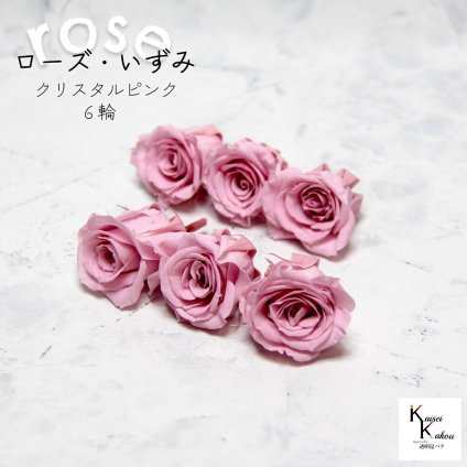 大地農園！プリザーブドフラワー 「ローズいずみ 6輪 クリスタルピンク」プリザ 花材 ハーバリウム おしゃれ かわいい プレゼント 贈り物　オオチノウエン バラ 薔薇 ローズ rose