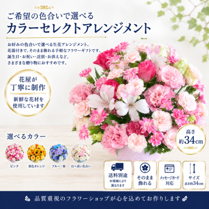 ご希望の色合いで選べる カラーセレクトアレンジメント 高さ34cm 生花 フラワーアレンジメント 花ギフト フラワーギフト 誕生日 お祝い お見舞い 送別 季節行事 お供え お悔やみ 手作り 鮮度重視 送料別途【北海道・九州・四国・中国・沖縄・離島は配送不可】