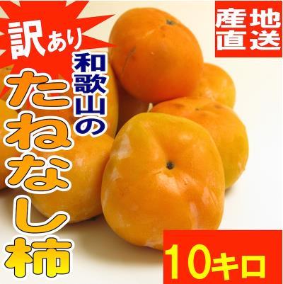【予約販売】【送料無料】和歌山県産 訳あり たねなし柿 10kg 【まとめ買い】ご自宅用の平核無柿 平種柿 ひらたねかき サイズ不揃い 傷あり 脱渋処理済み ※9月下旬頃より順次発送
