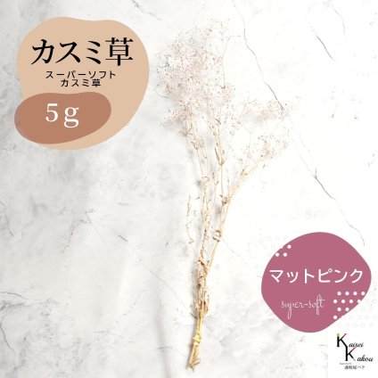「大地農園 スーパーソフトミニカスミ草 マットピンク  5g」 ドライフラワー 花材 ハーバリウム 素材 小さいお花 アレンジメント ギフト 母の日 お誕生日 オオチノウエン プリザーブドフラワー プリザーブド プリザ かすみそう カスミ ハンドメイド