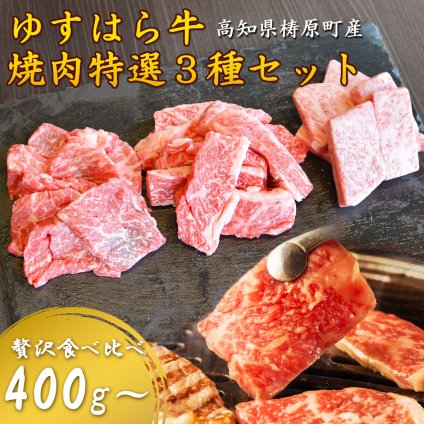 ゆすはら牛 焼肉セット 400g 800g 和牛カルビ ウチハラミ ロース 焼肉3種セット 和牛 食べ比べ 高級焼肉 焼き肉 やきにく お取り寄せ グルメ 高知産 ブランド牛 父の日 御中元 御歳暮 ギフト 焼肉寛十郎 店長おすすめ 高級焼肉セットB 【ヤマトクール便・送料無料】