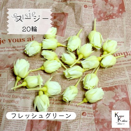 大地農園！プリザーブドフラワー 「スージー フレッシュグリーン 20輪」プリザ 花材 ハーバリウム おしゃれ かわいい プレゼント 贈り物　オオチノウエン
