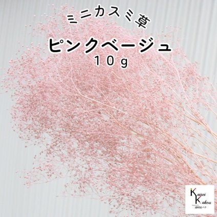 大地農園！プリザーブドフラワー「ミニカスミ草 ピンクベージュ 10g」プリザ カスミ草　カスミソウ 花材 ハーバリウム おしゃれ かわいい プレゼント 贈り物　オオチノウエン