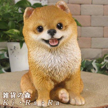 犬　置物 リアル　ポメラニアン　お座り　いぬ　動物オブジェ　ガーデン　オーナメント　店舗　カウンター　装飾　オブジェ　インテリア　玄関先　庭　犬好きさん人気ギフト　動物人気ギフト　クリスマスプレゼント　お誕生日祝い　母の日人気　父の日人気　敬老の日人気